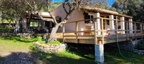 La Carpa